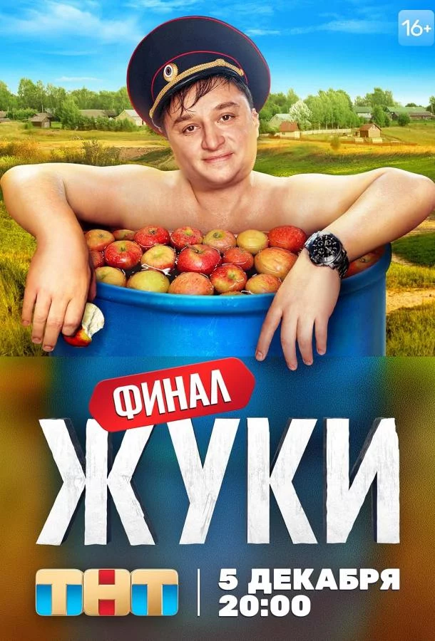Жуки 